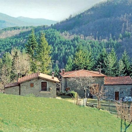 Comfortable House In Bibbiena + Pool Екстериор снимка