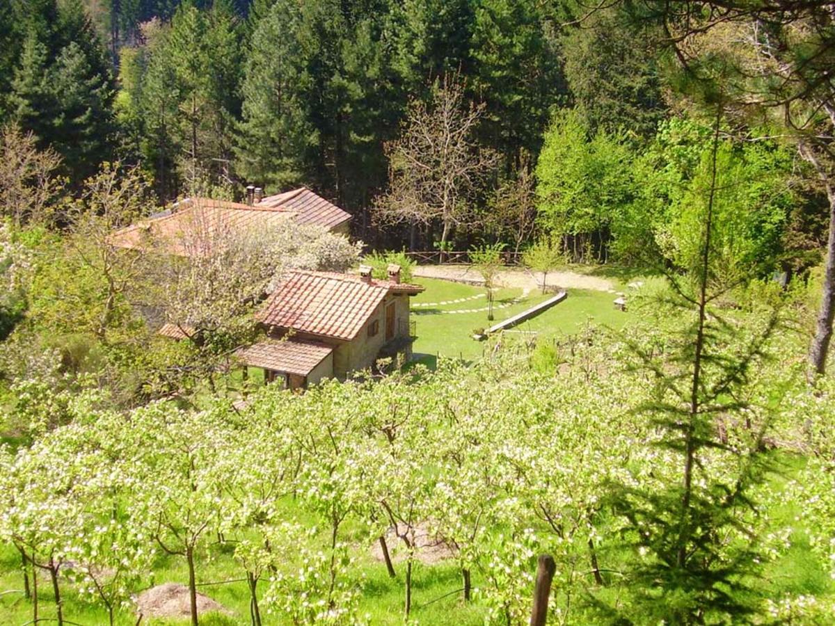 Comfortable House In Bibbiena + Pool Екстериор снимка