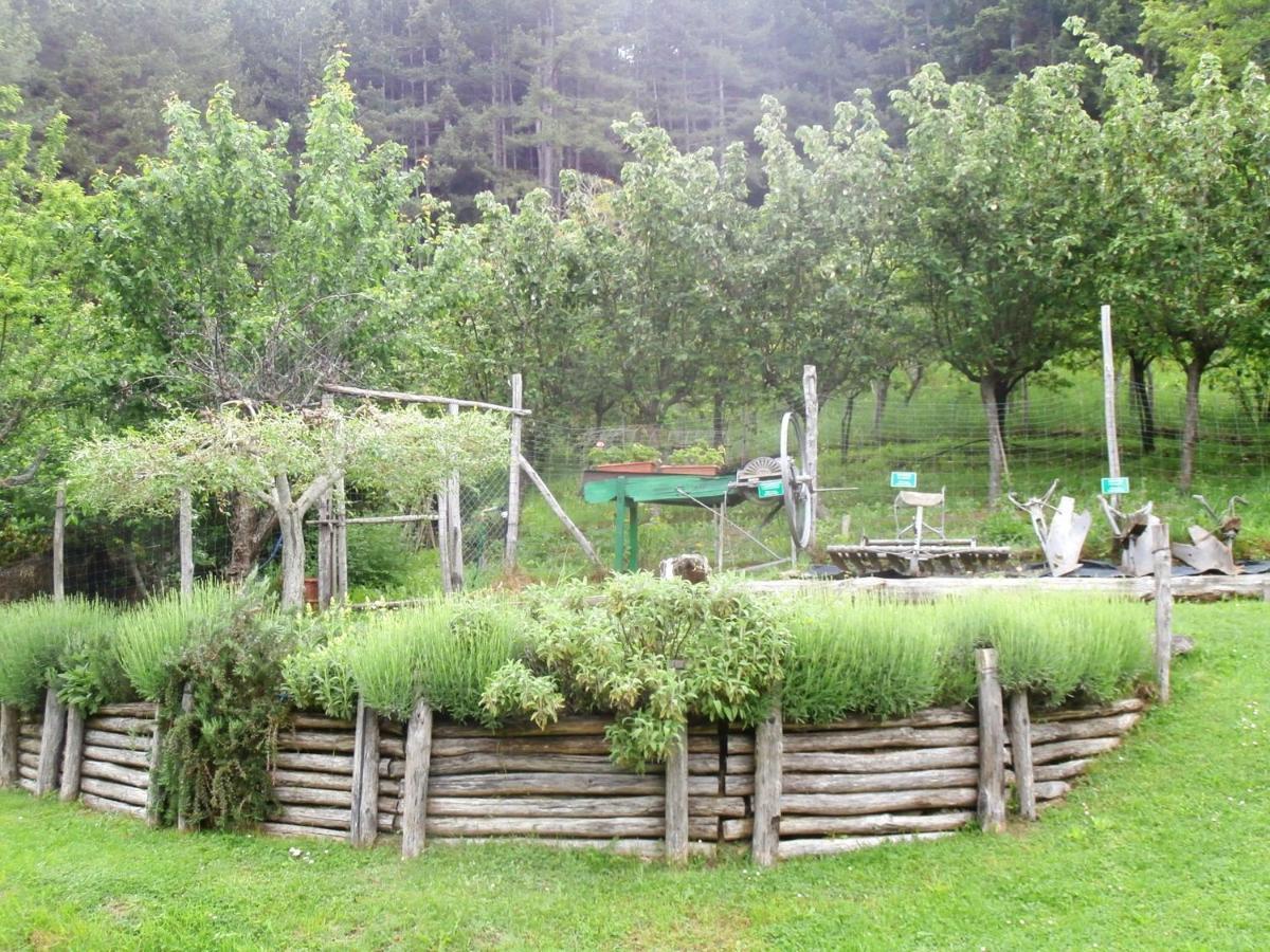 Comfortable House In Bibbiena + Pool Екстериор снимка