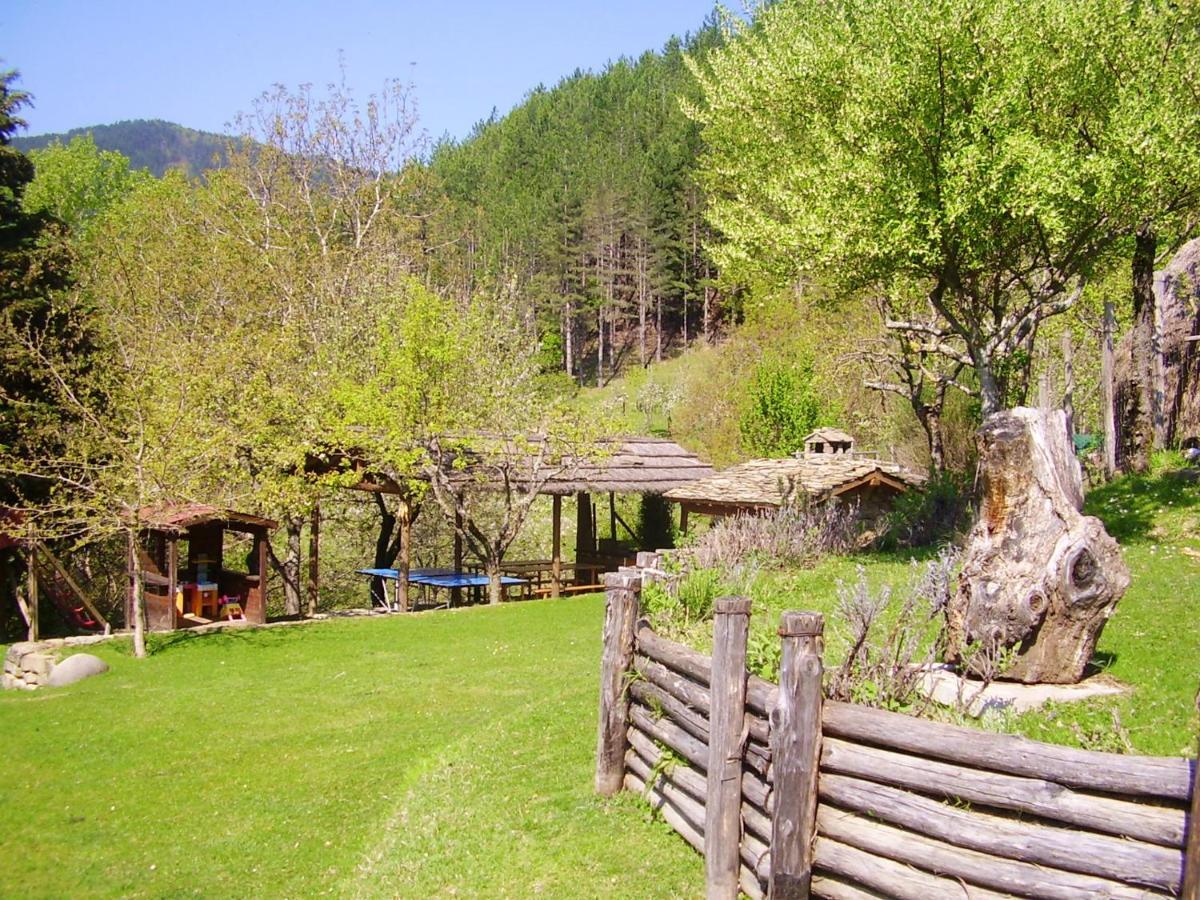 Comfortable House In Bibbiena + Pool Екстериор снимка