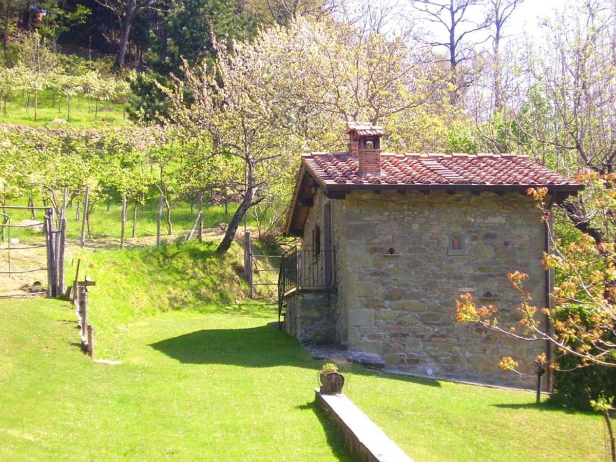 Comfortable House In Bibbiena + Pool Екстериор снимка