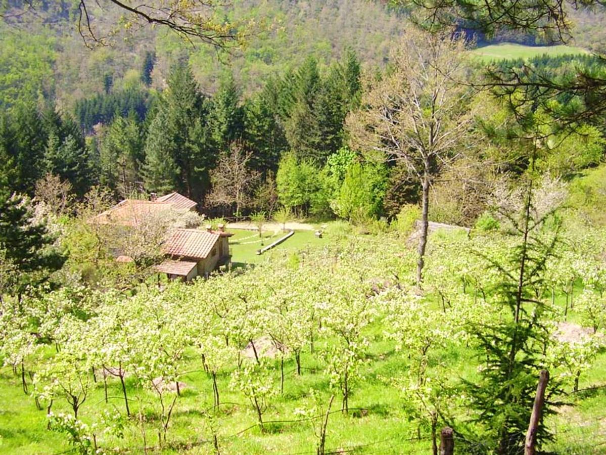 Comfortable House In Bibbiena + Pool Екстериор снимка