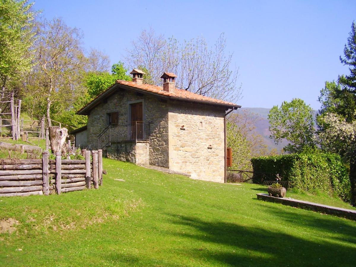 Comfortable House In Bibbiena + Pool Екстериор снимка